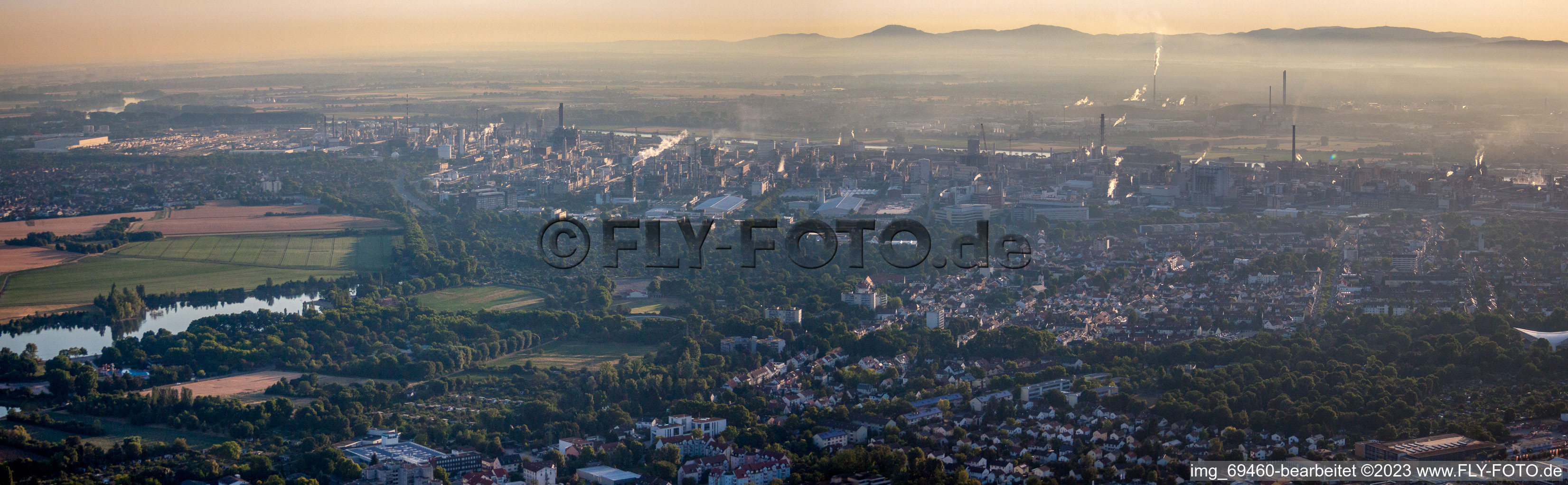 Vue d'oiseau de Quartier Friesenheim in Ludwigshafen am Rhein dans le département Rhénanie-Palatinat, Allemagne