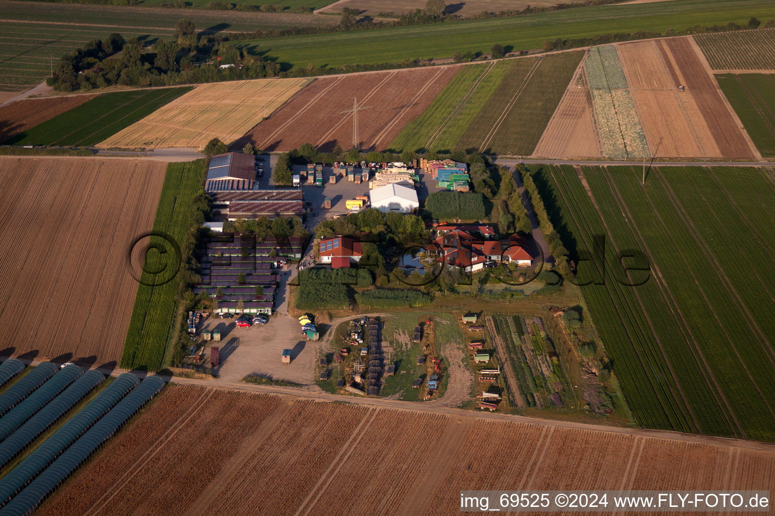 Vue aérienne de P.+H. Culture de légumes Fehmel à Mutterstadt dans le département Rhénanie-Palatinat, Allemagne