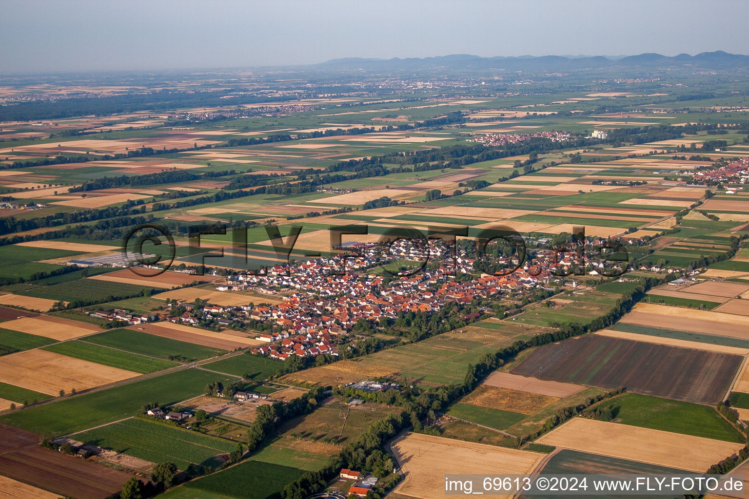 Vue aérienne de Champs agricoles et surfaces utilisables à Gommersheim dans le département Rhénanie-Palatinat, Allemagne