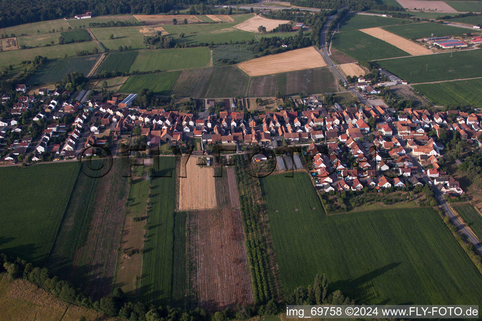 Vue d'oiseau de Du nord à Erlenbach bei Kandel dans le département Rhénanie-Palatinat, Allemagne