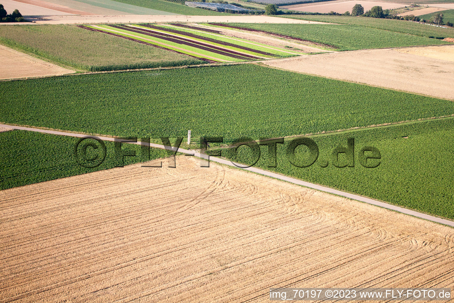 Vue aérienne de Voler à le quartier Herxheim in Herxheim bei Landau dans le département Rhénanie-Palatinat, Allemagne