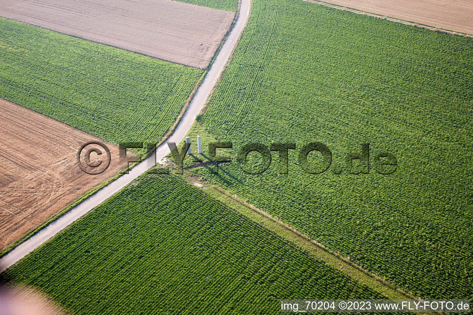 Voler à le quartier Herxheim in Herxheim bei Landau dans le département Rhénanie-Palatinat, Allemagne depuis l'avion