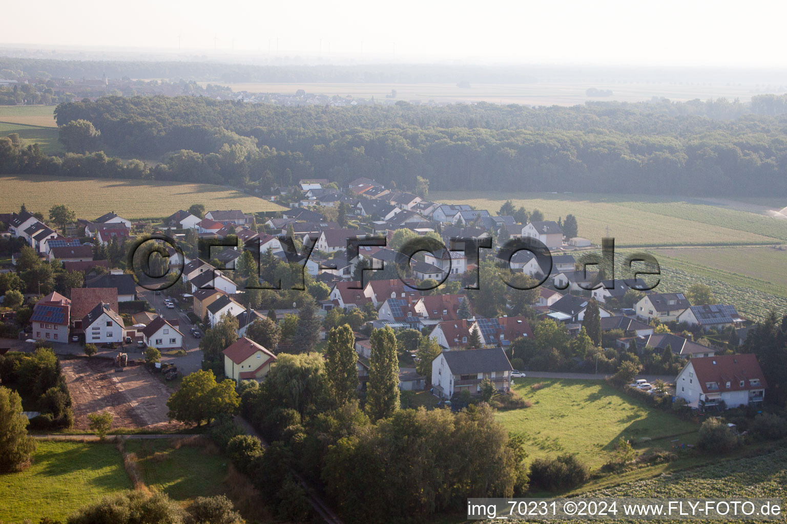 Vue aérienne de Du sud à Erlenbach bei Kandel dans le département Rhénanie-Palatinat, Allemagne