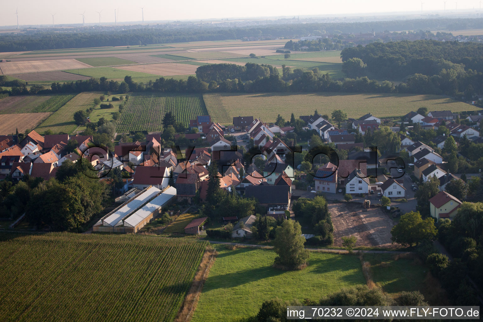 Photographie aérienne de Du sud à Erlenbach bei Kandel dans le département Rhénanie-Palatinat, Allemagne