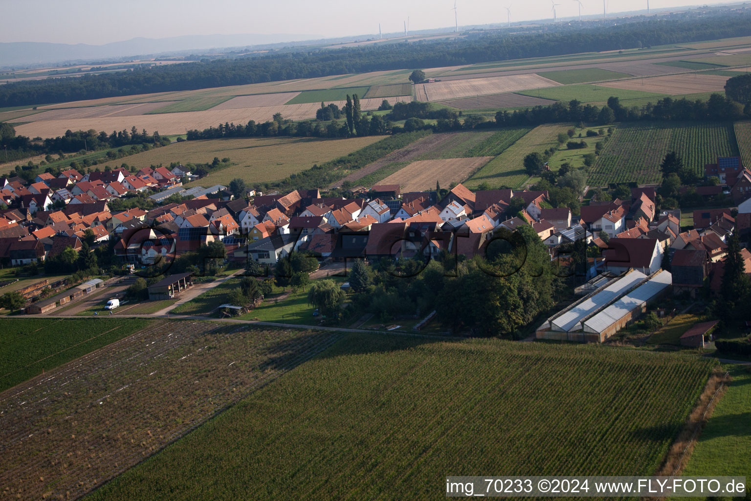 Erlenbach bei Kandel dans le département Rhénanie-Palatinat, Allemagne d'un drone