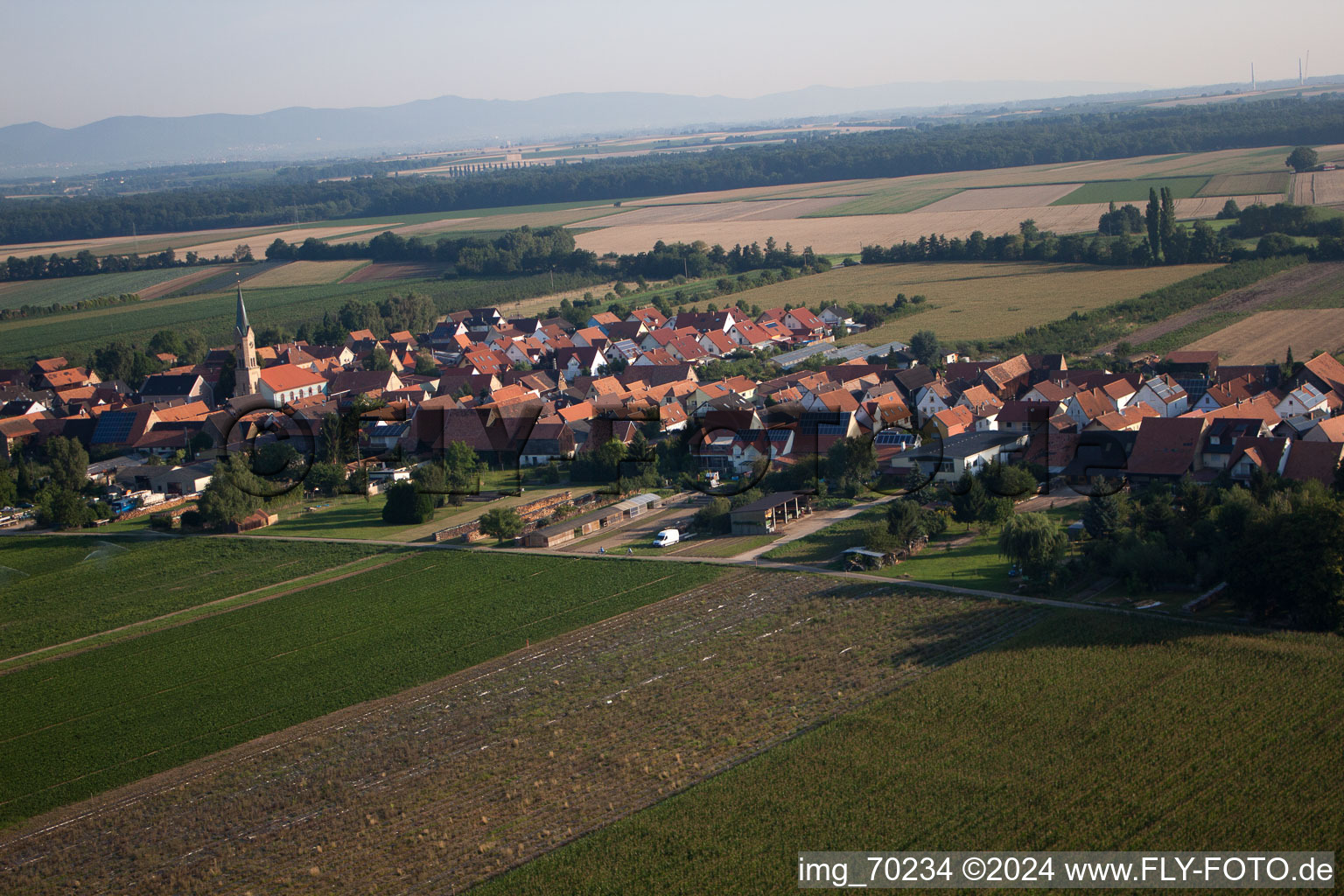Erlenbach bei Kandel dans le département Rhénanie-Palatinat, Allemagne vu d'un drone