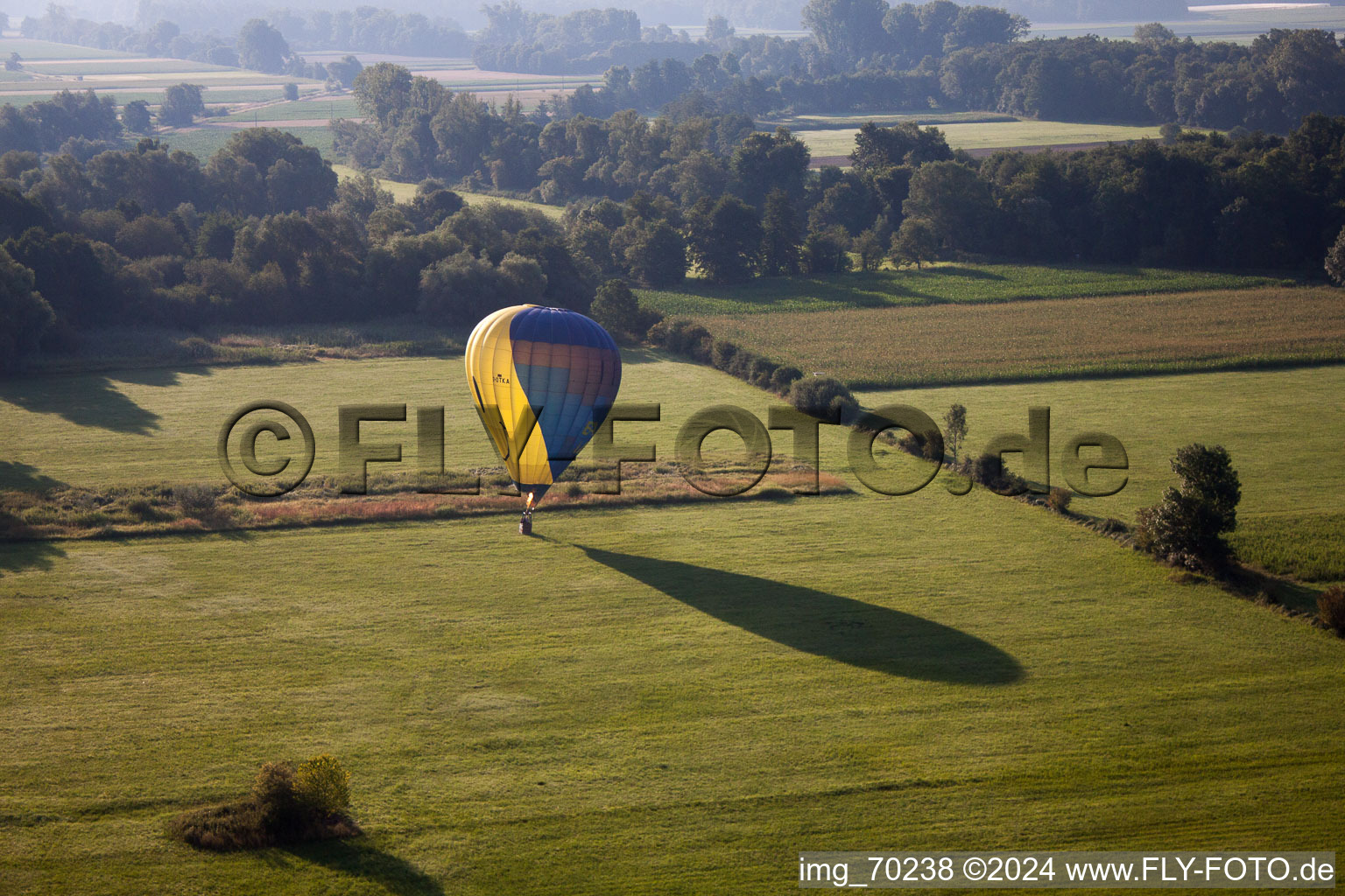 Vue aérienne de Ballon en fuite à Erlenbach bei Kandel dans le département Rhénanie-Palatinat, Allemagne