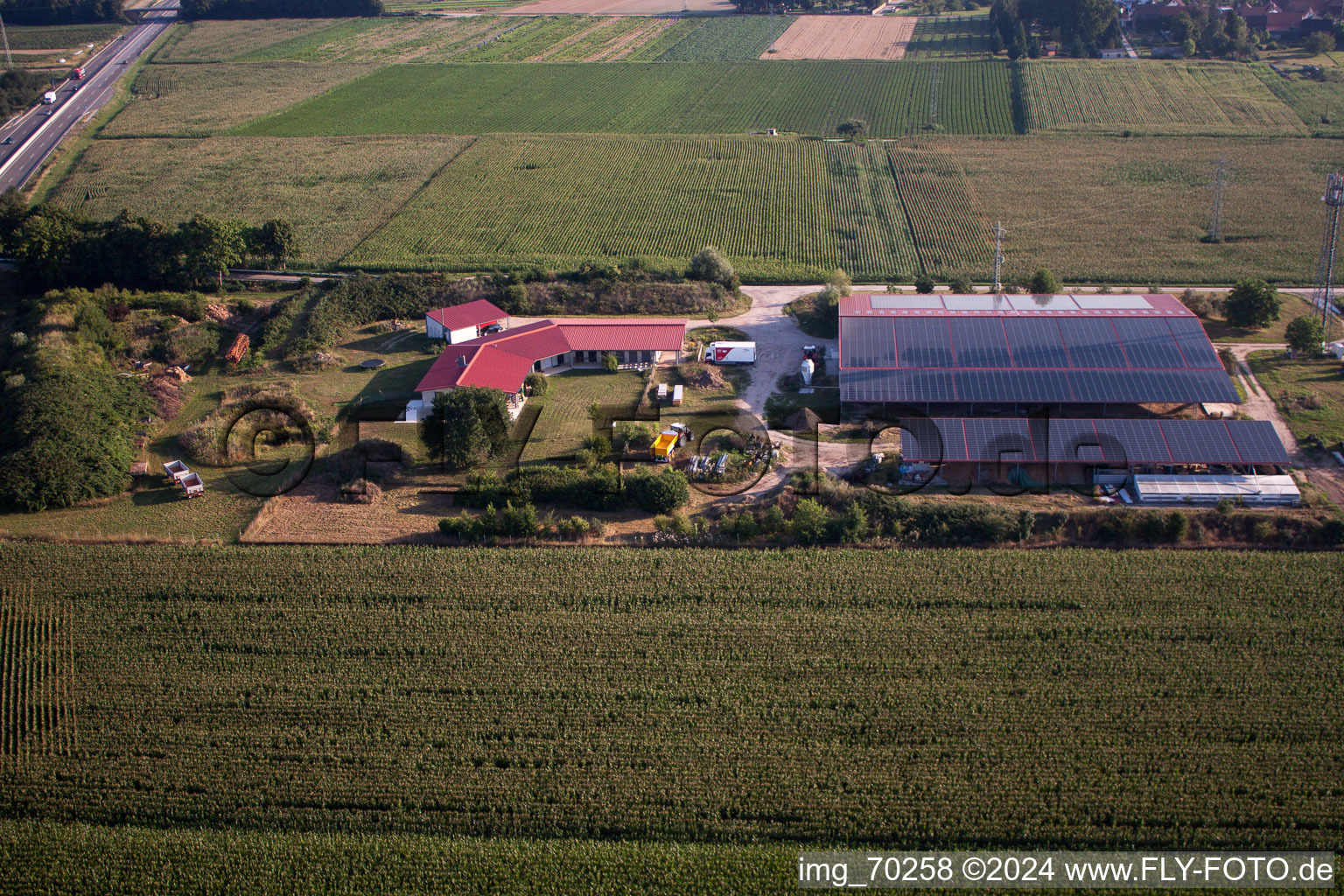 Vue aérienne de Élevage de poulets Aussiedlerhof à Erlenbach bei Kandel dans le département Rhénanie-Palatinat, Allemagne