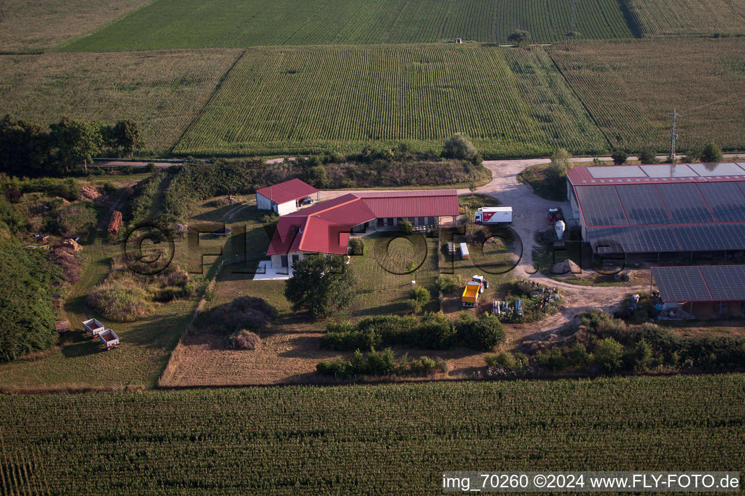 Vue aérienne de Élevage de poulets Aussiedlerhof à Erlenbach bei Kandel dans le département Rhénanie-Palatinat, Allemagne