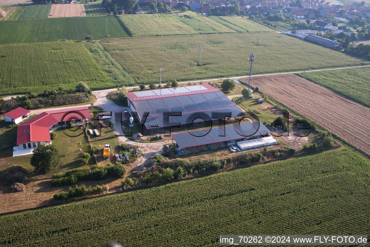 Vue oblique de Élevage de poulets Aussiedlerhof à Erlenbach bei Kandel dans le département Rhénanie-Palatinat, Allemagne