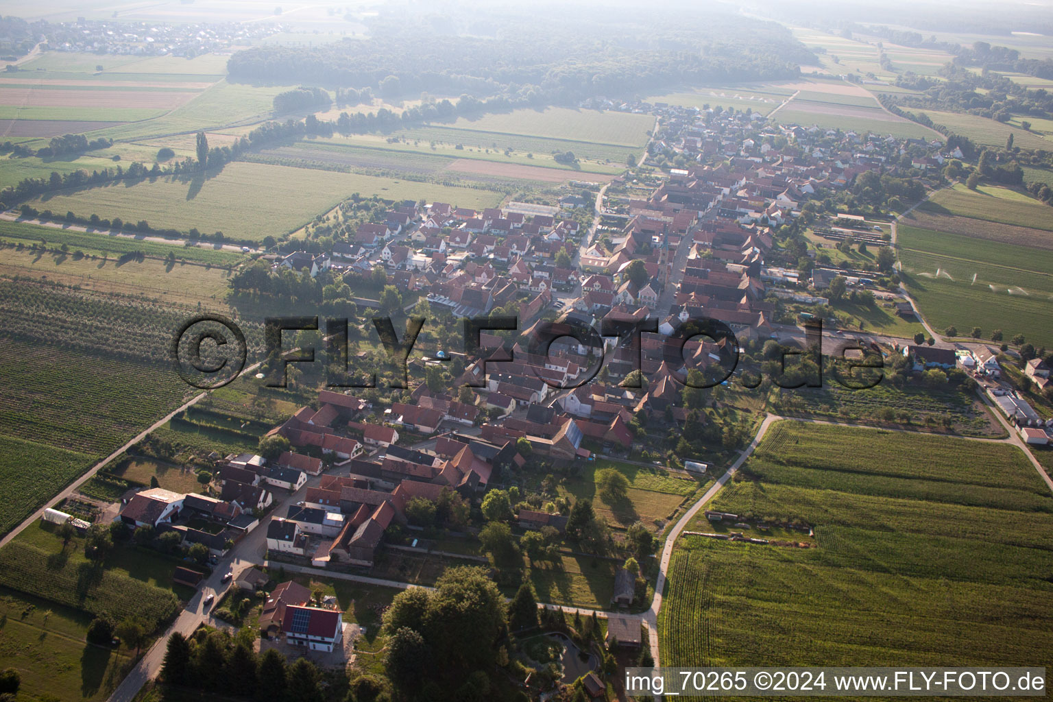 Erlenbach bei Kandel dans le département Rhénanie-Palatinat, Allemagne depuis l'avion