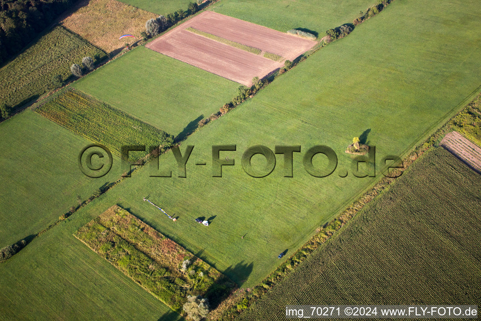 Vue aérienne de Ballon tué près d'Erlenbach à Erlenbach bei Kandel dans le département Rhénanie-Palatinat, Allemagne