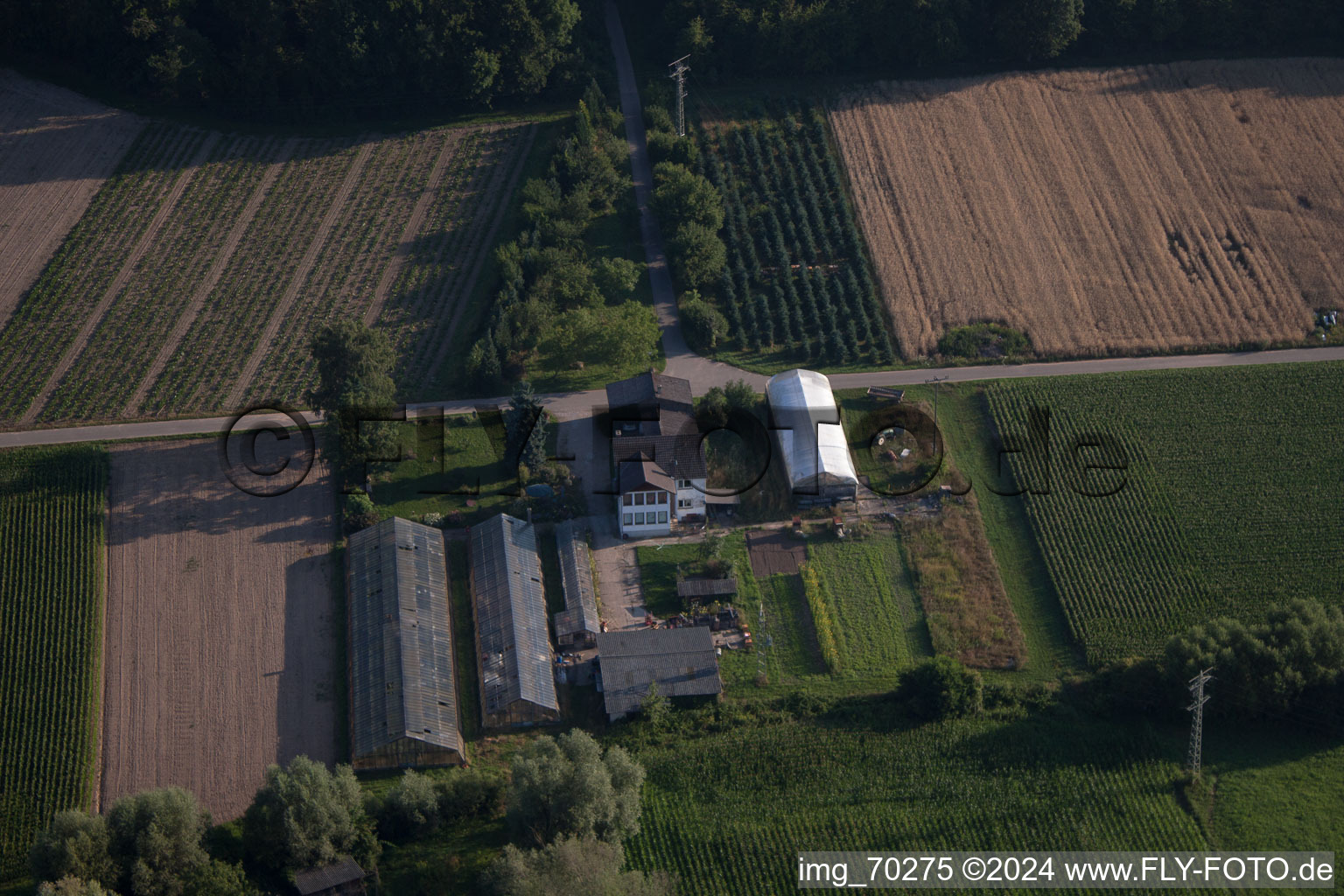 Vue aérienne de Jardiner à Erlenbach à Erlenbach bei Kandel dans le département Rhénanie-Palatinat, Allemagne