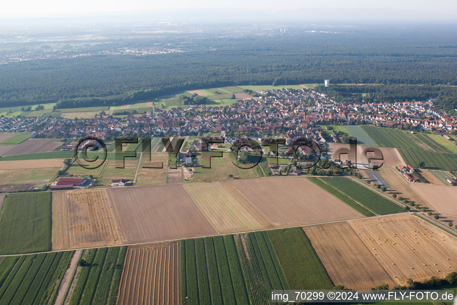 Hatzenbühl dans le département Rhénanie-Palatinat, Allemagne du point de vue du drone