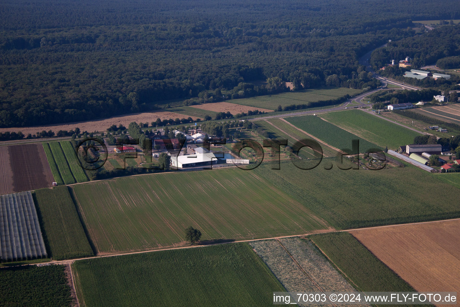 Terrain de golf à pied d'Adamshof à Kandel dans le département Rhénanie-Palatinat, Allemagne depuis l'avion