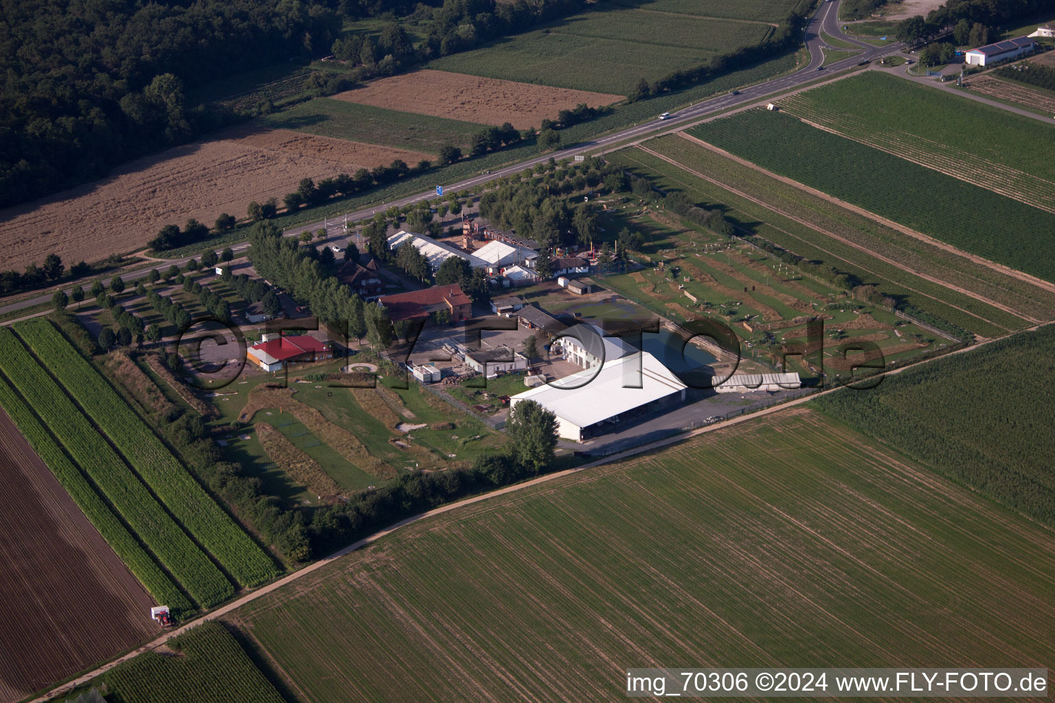 Vue d'oiseau de Terrain de golf à pied d'Adamshof à Kandel dans le département Rhénanie-Palatinat, Allemagne