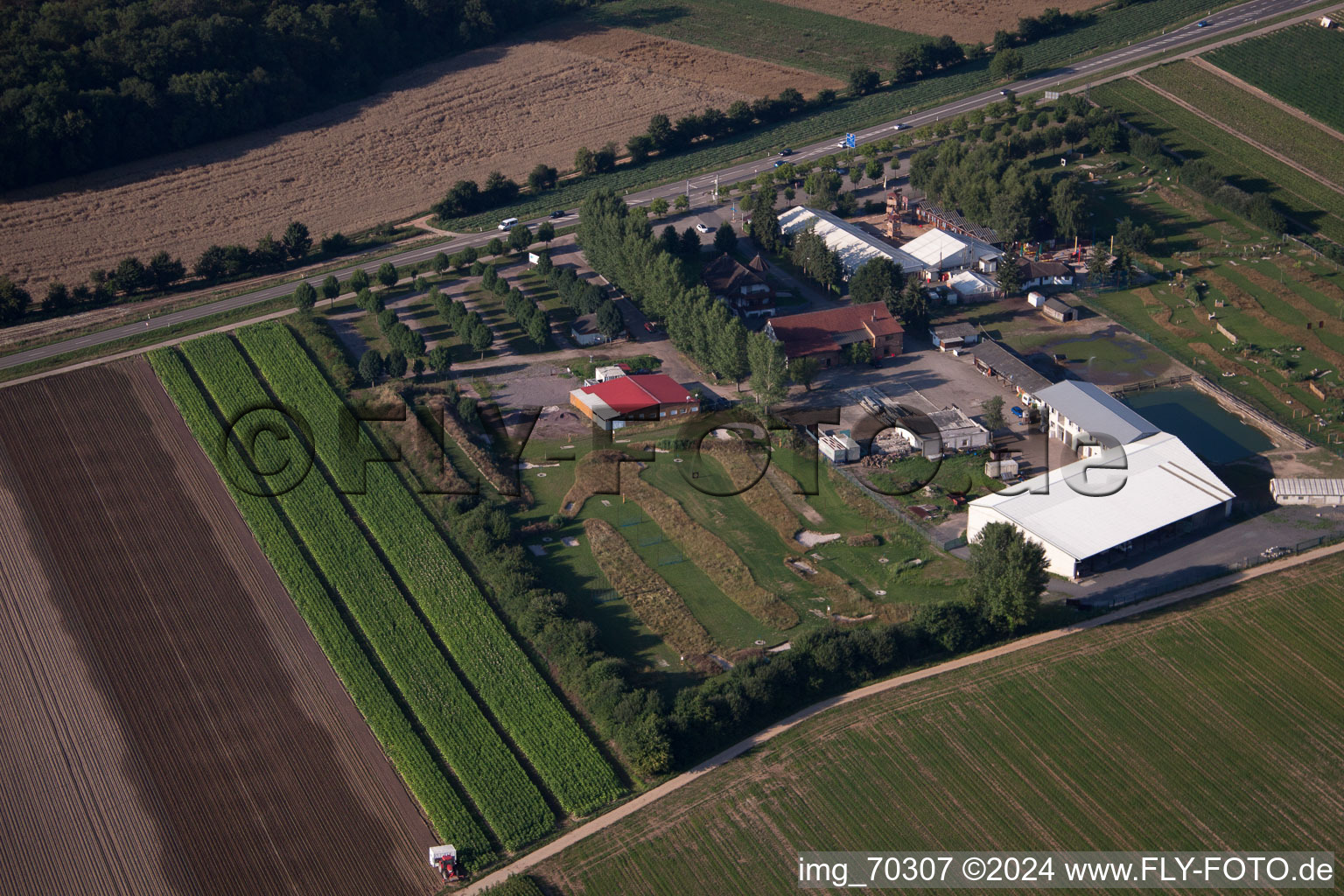 Terrain de golf à pied d'Adamshof à Kandel dans le département Rhénanie-Palatinat, Allemagne vue du ciel