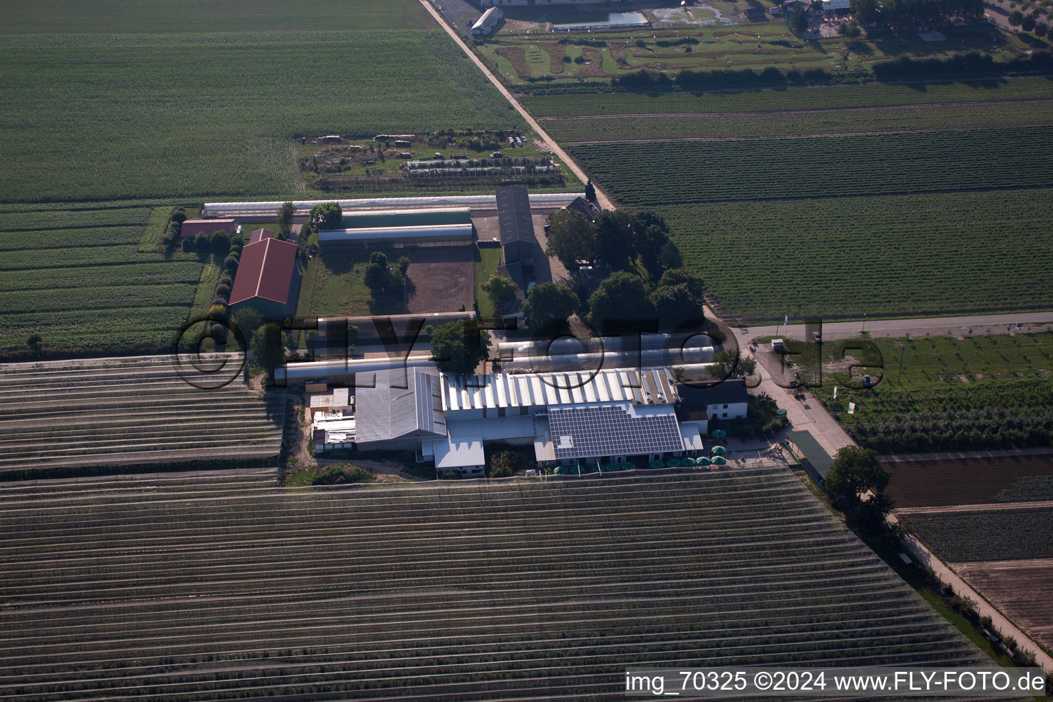 Vue aérienne de Obsthof Zapf et Hofcafé à Kandel dans le département Rhénanie-Palatinat, Allemagne