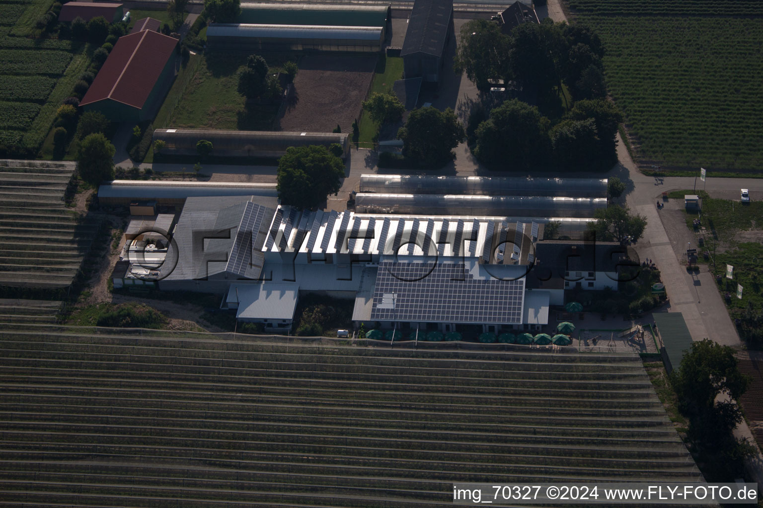 Vue oblique de Obsthof Zapf et Hofcafé à Kandel dans le département Rhénanie-Palatinat, Allemagne