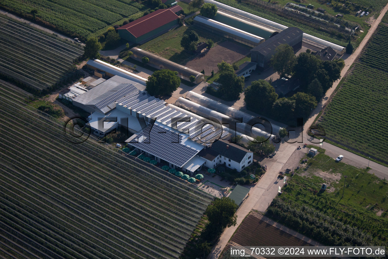 Obsthof Zapf et Hofcafé à Kandel dans le département Rhénanie-Palatinat, Allemagne vue d'en haut