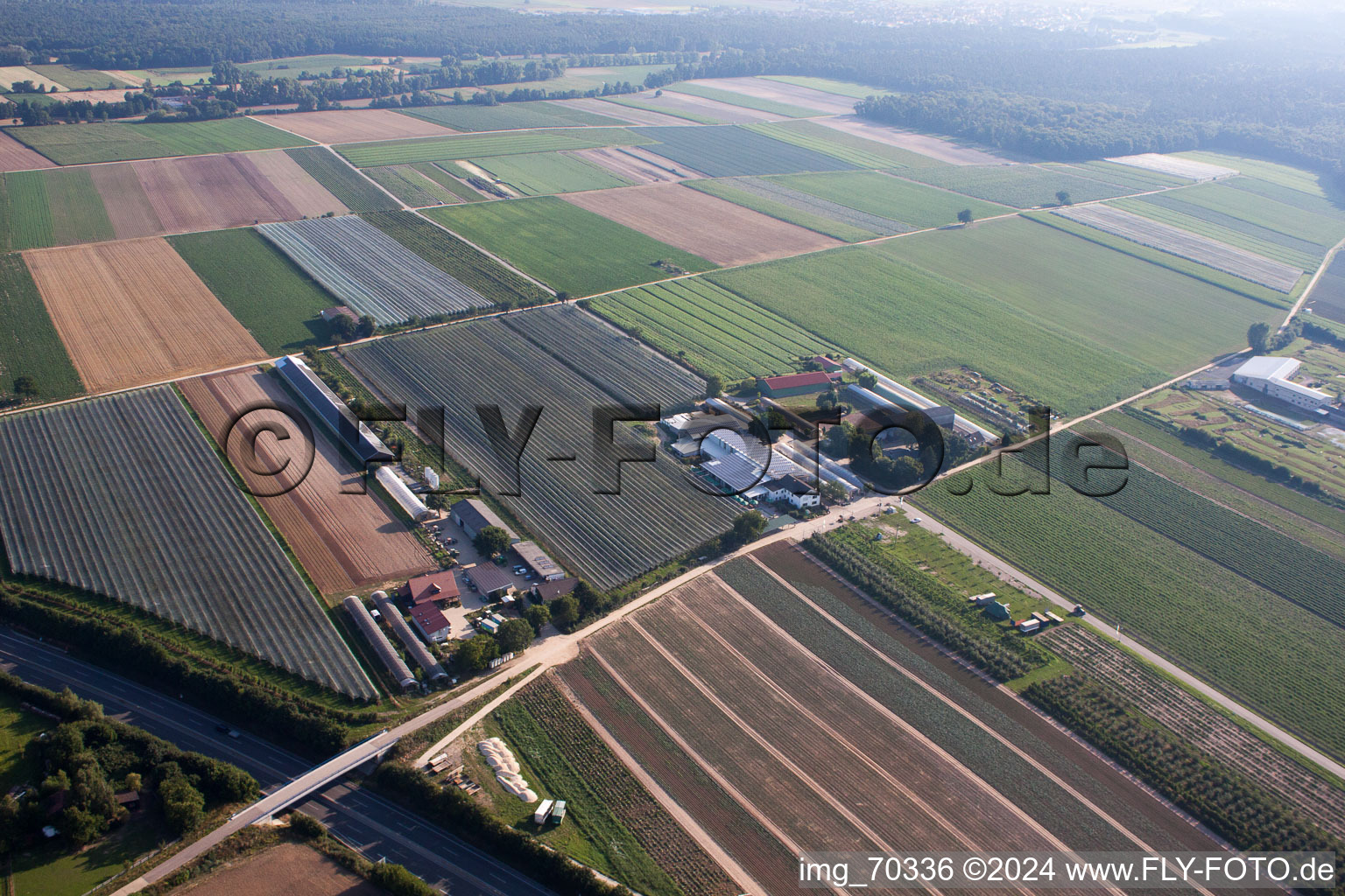 Obsthof Zapf et Hofcafé à Kandel dans le département Rhénanie-Palatinat, Allemagne depuis l'avion