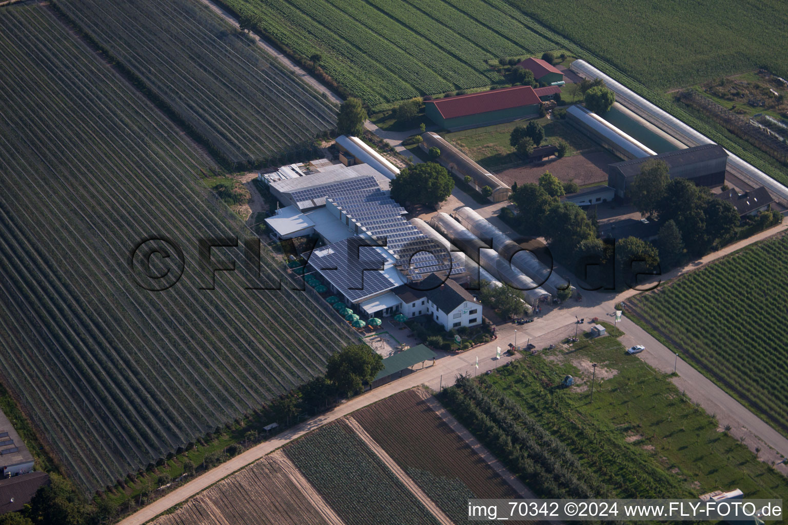 Obsthof Zapf et Hofcafé à Kandel dans le département Rhénanie-Palatinat, Allemagne vue du ciel