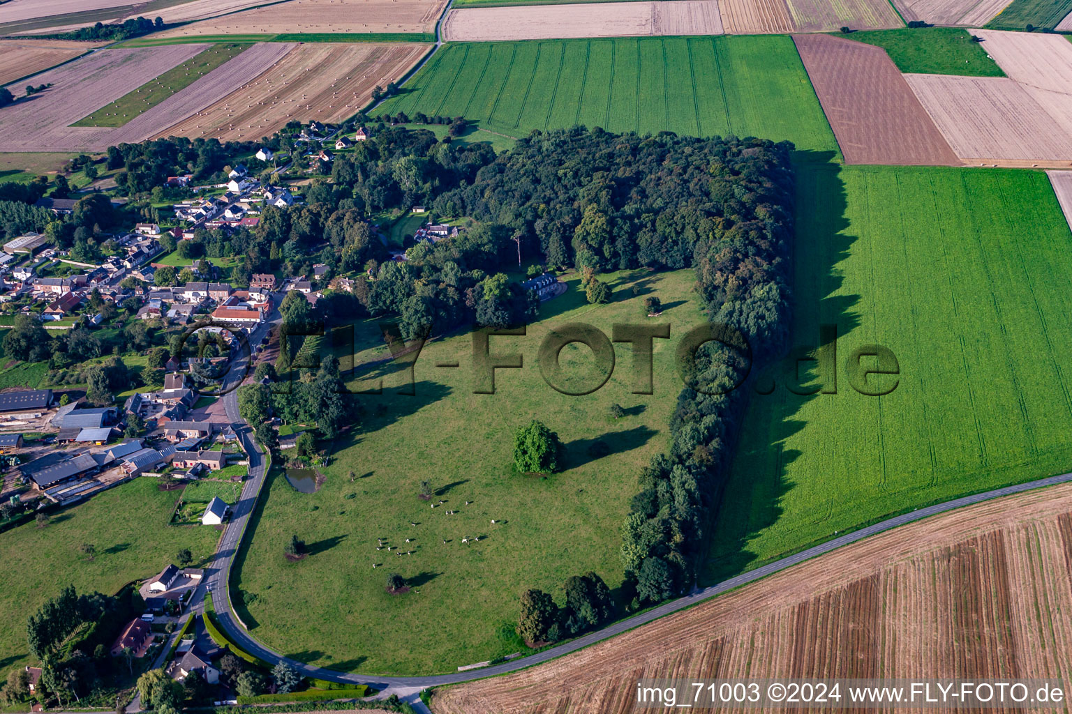 Photographie aérienne de Friville-Escarbotin dans le département Somme, France