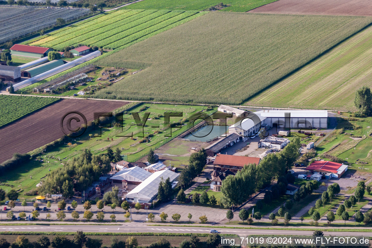 Vue aérienne de Terrain de golf à pied d'Adamshof à Kandel dans le département Rhénanie-Palatinat, Allemagne