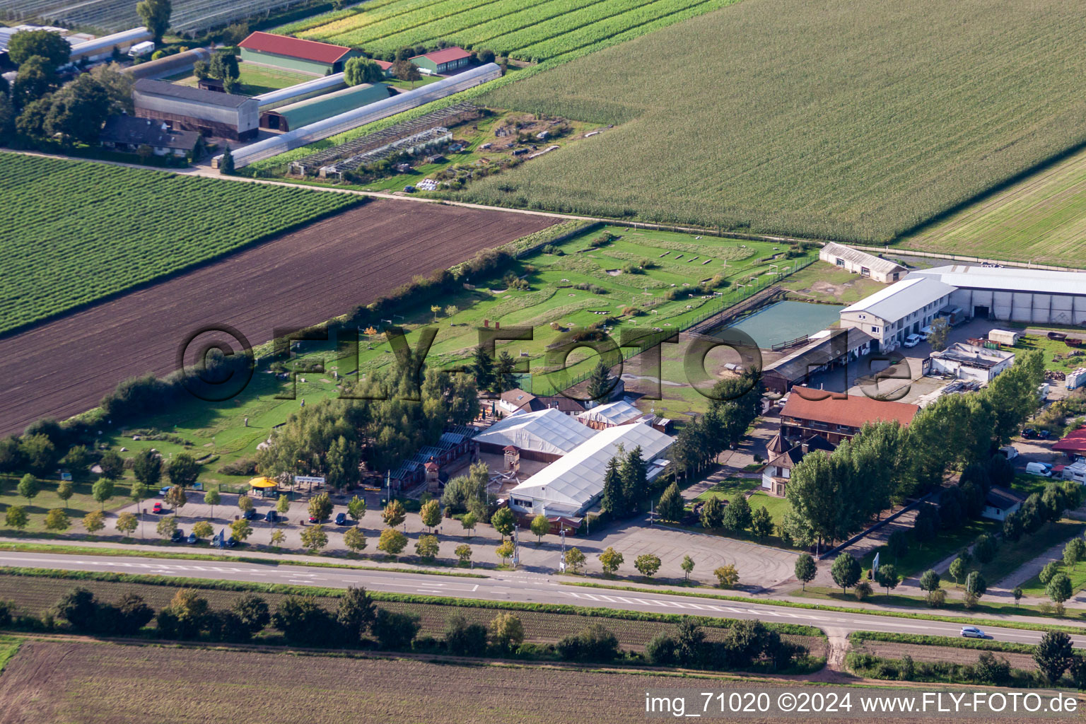 Vue aérienne de Terrain de golf à pied d'Adamshof à Kandel dans le département Rhénanie-Palatinat, Allemagne