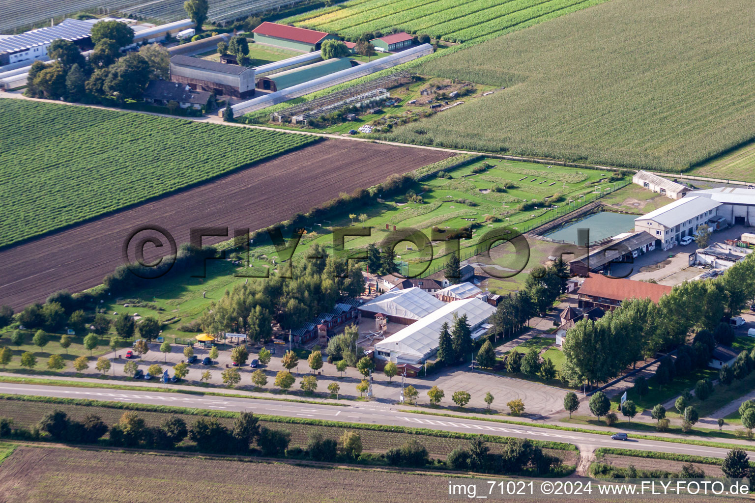 Photographie aérienne de Terrain de golf à pied d'Adamshof à Kandel dans le département Rhénanie-Palatinat, Allemagne