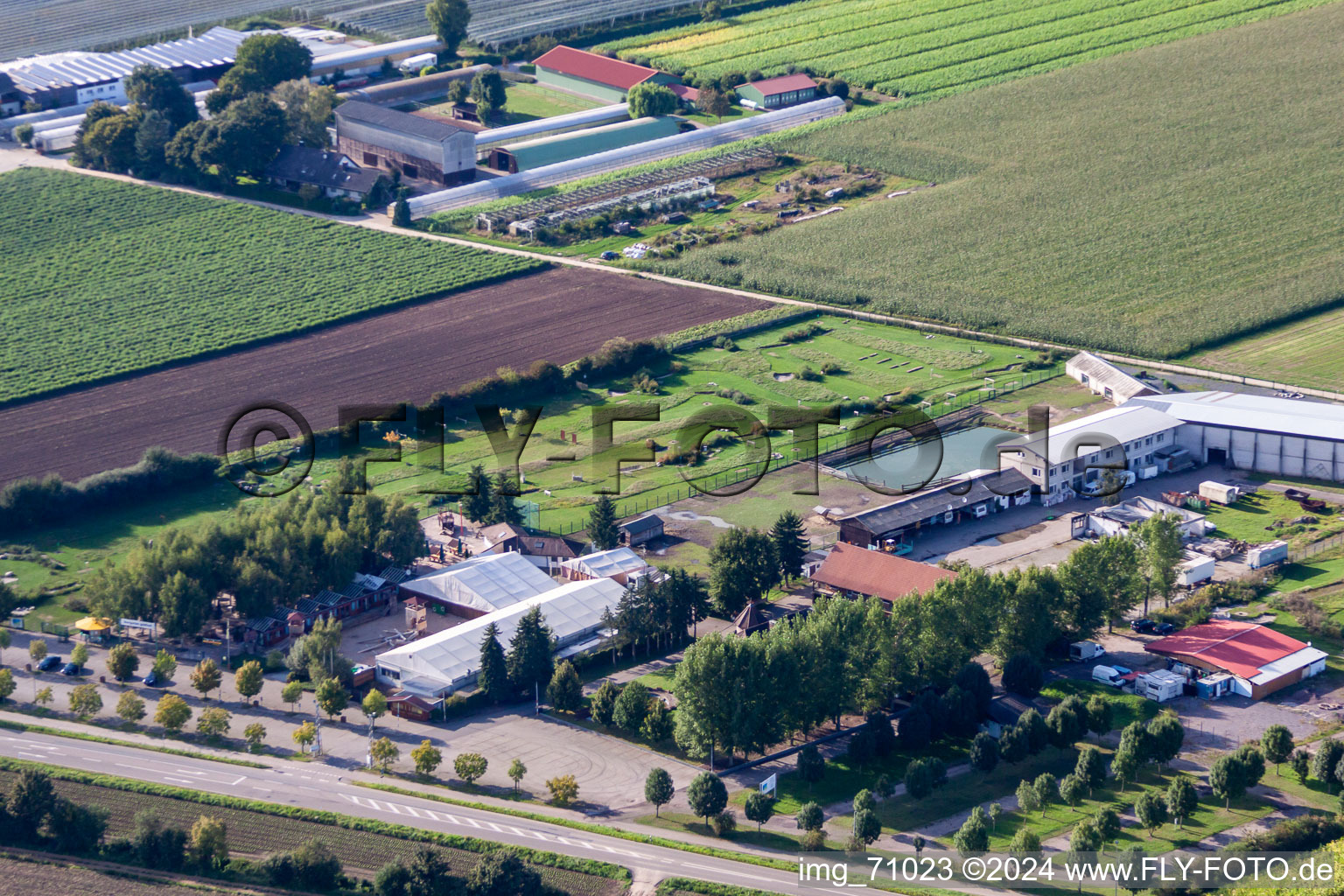 Vue oblique de Terrain de golf à pied d'Adamshof à Kandel dans le département Rhénanie-Palatinat, Allemagne