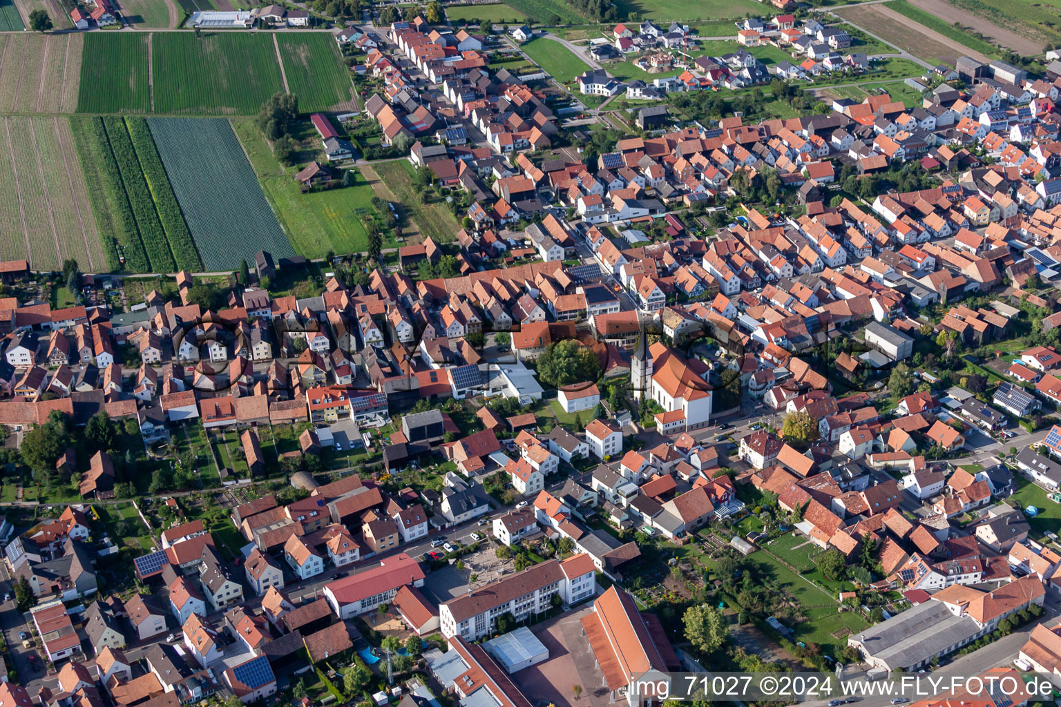 Photographie aérienne de Champs agricoles et surfaces utilisables à Hatzenbühl dans le département Rhénanie-Palatinat, Allemagne