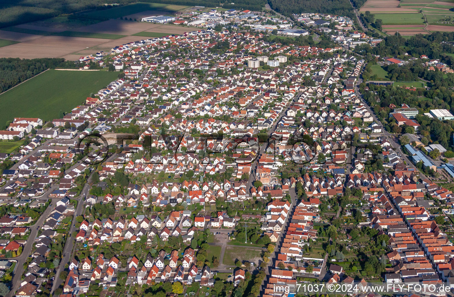 Photographie aérienne de De l'ouest à Bellheim dans le département Rhénanie-Palatinat, Allemagne