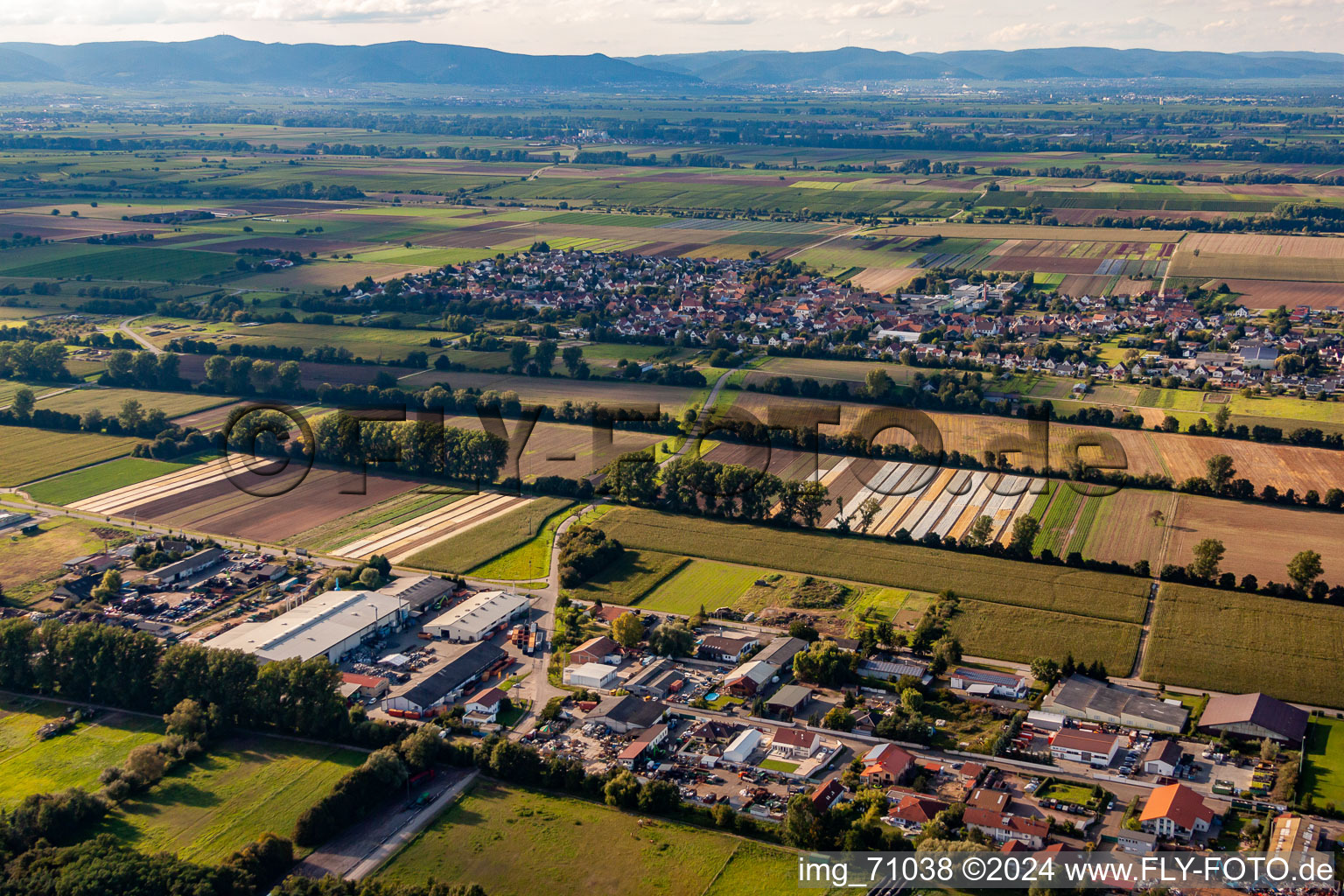 Vue aérienne de Lustadt dans le département Rhénanie-Palatinat, Allemagne