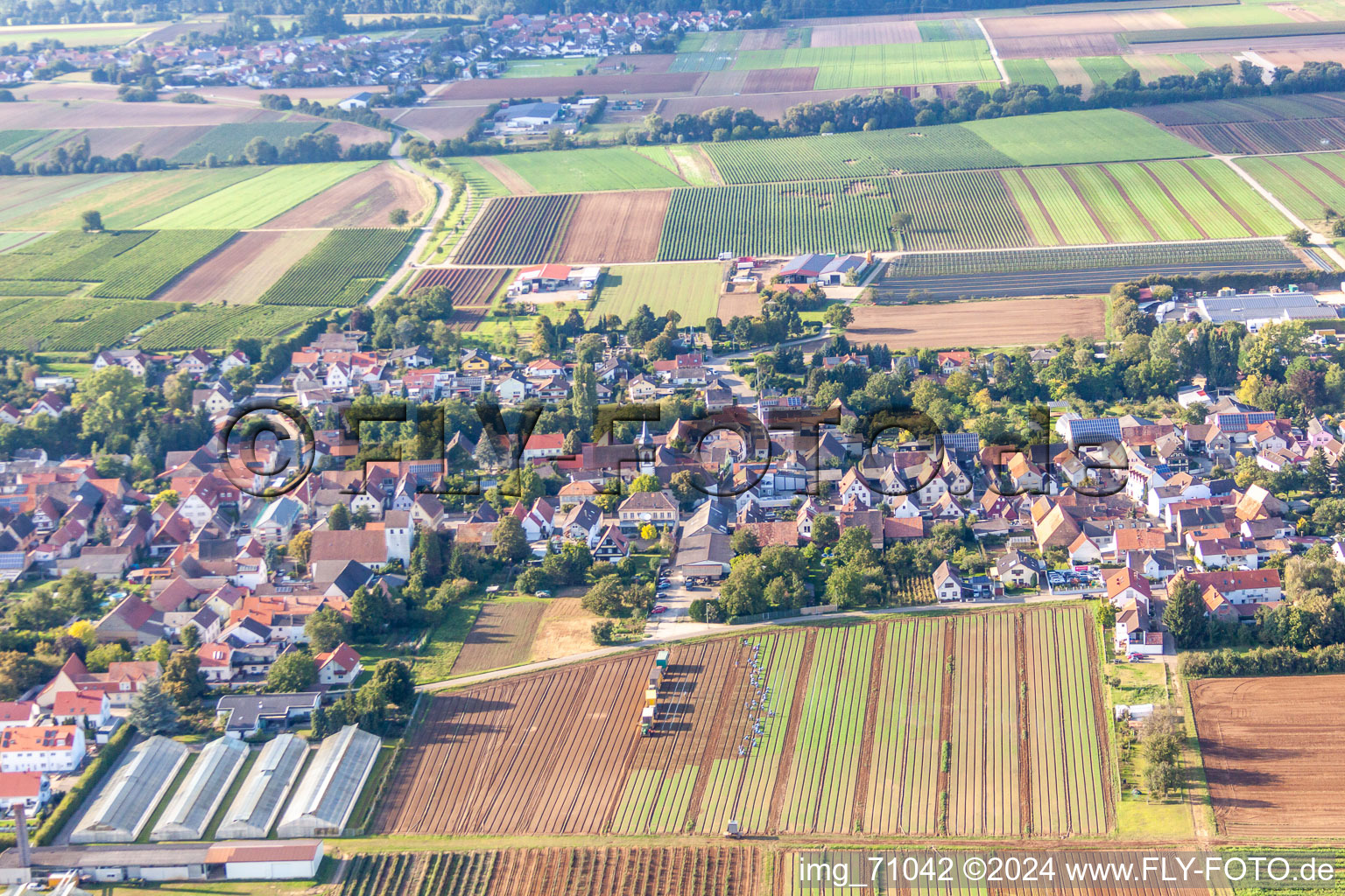 Weingarten dans le département Rhénanie-Palatinat, Allemagne hors des airs