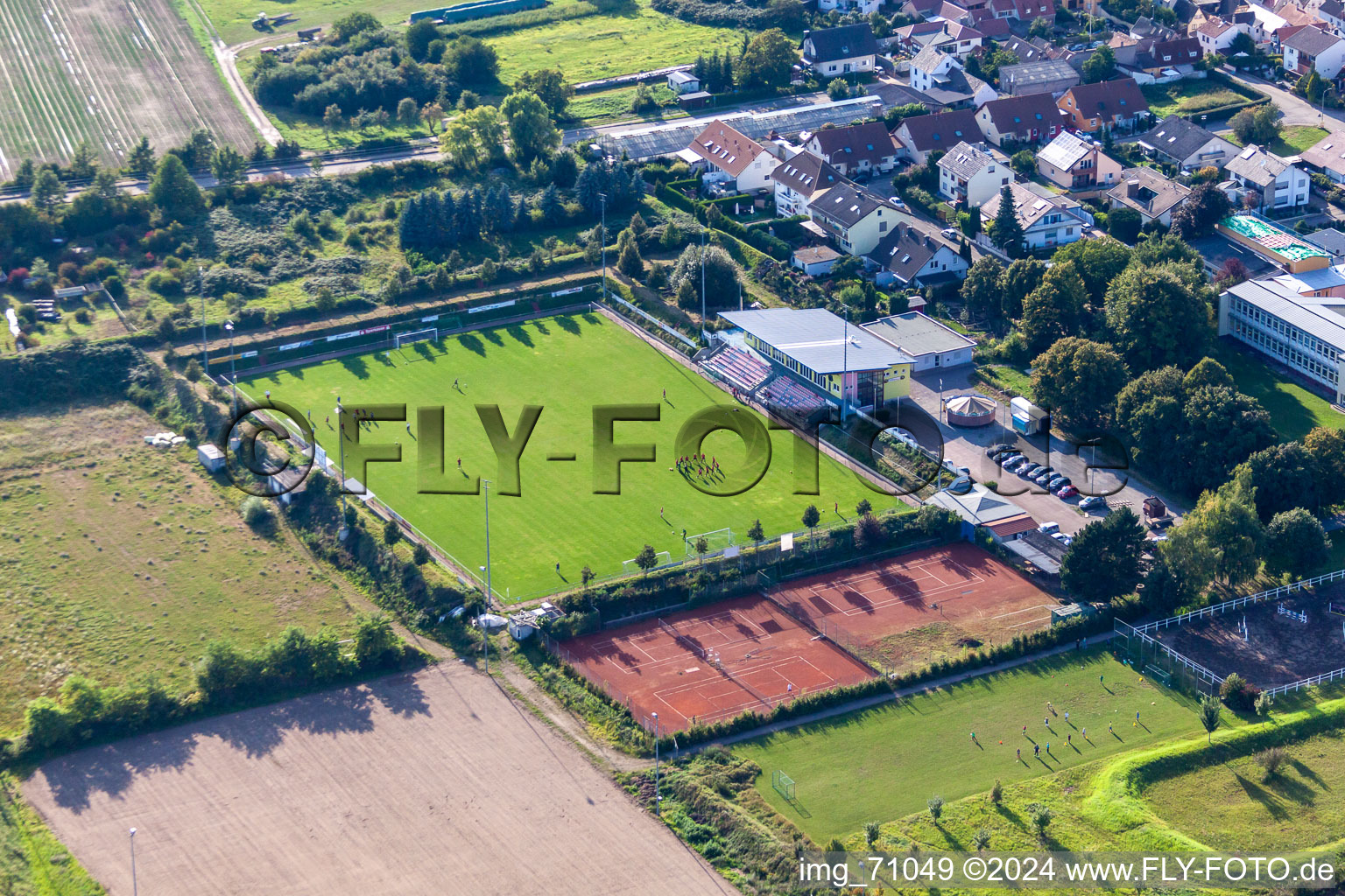 Photographie aérienne de SV Weingarten, club de tennis et terrain de football à Weingarten dans le département Rhénanie-Palatinat, Allemagne