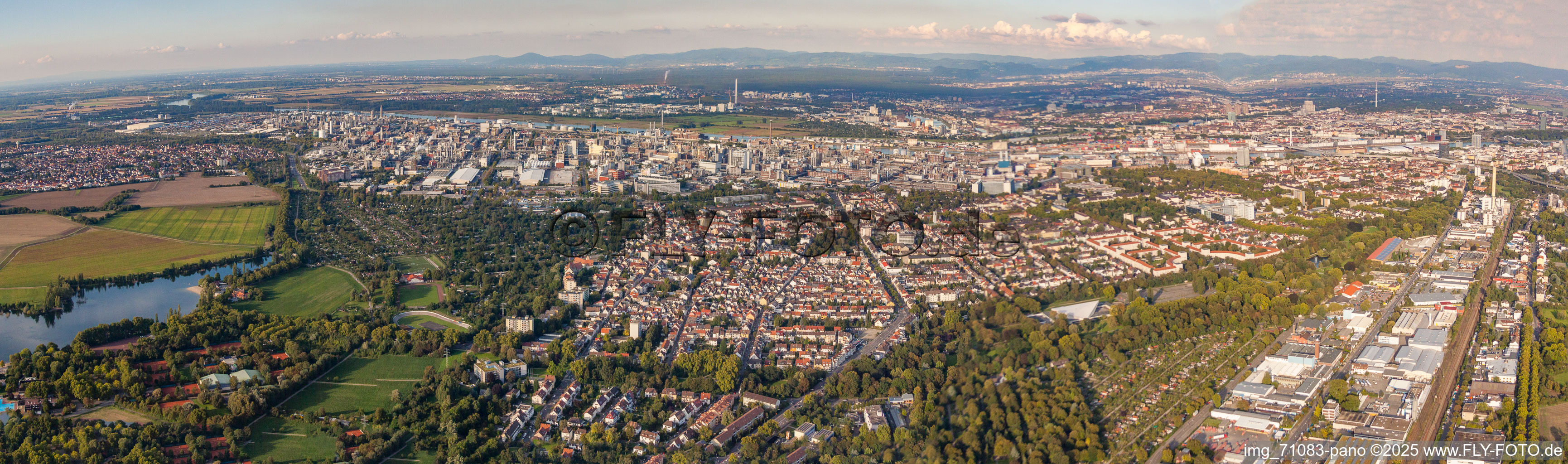 Vue aérienne de Panorama BASF depuis l'Ouest à Friesenheim dans le département Rhénanie-Palatinat, Allemagne