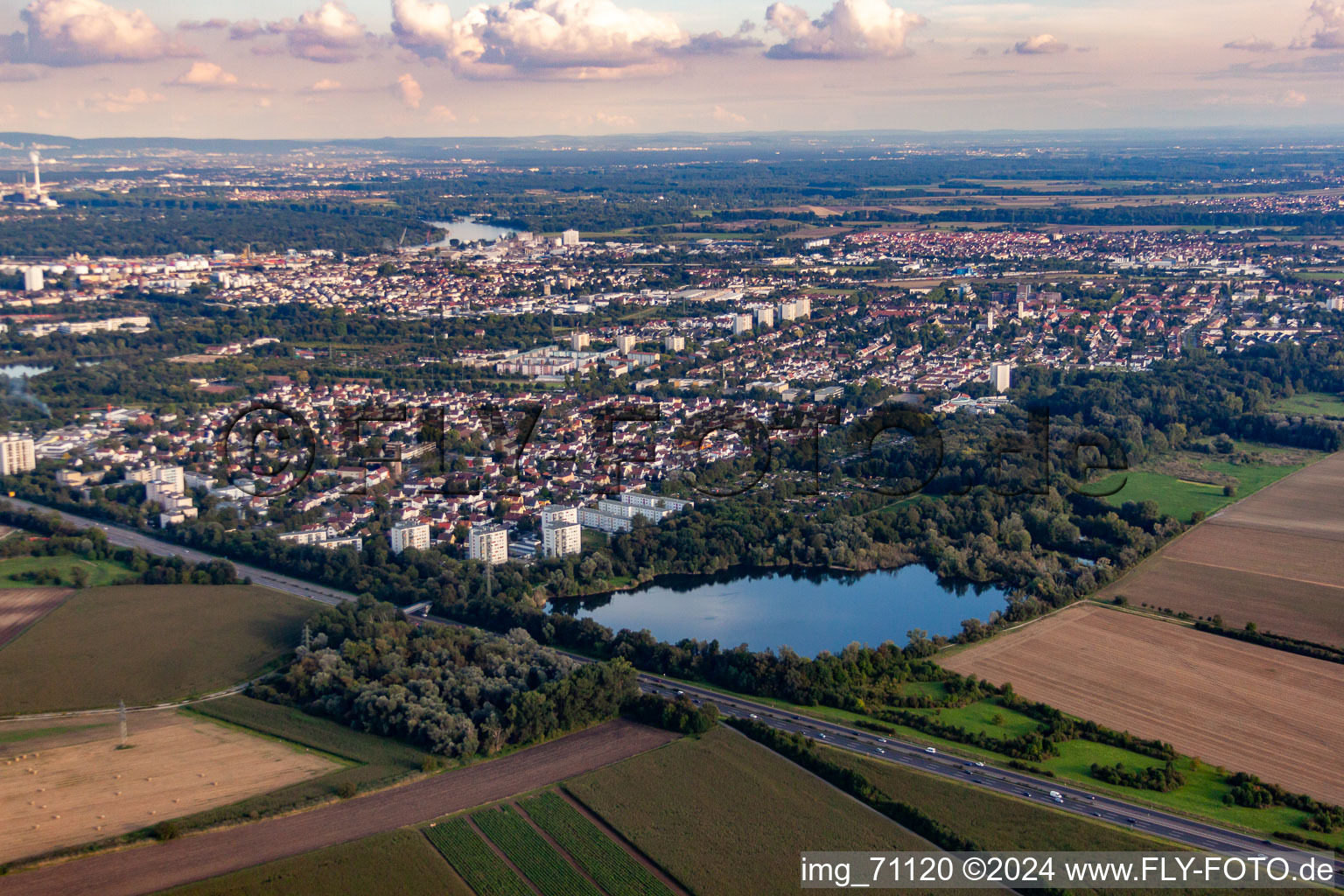 Vue aérienne de Derrière l'étang Holschen à le quartier Gartenstadt in Ludwigshafen am Rhein dans le département Rhénanie-Palatinat, Allemagne