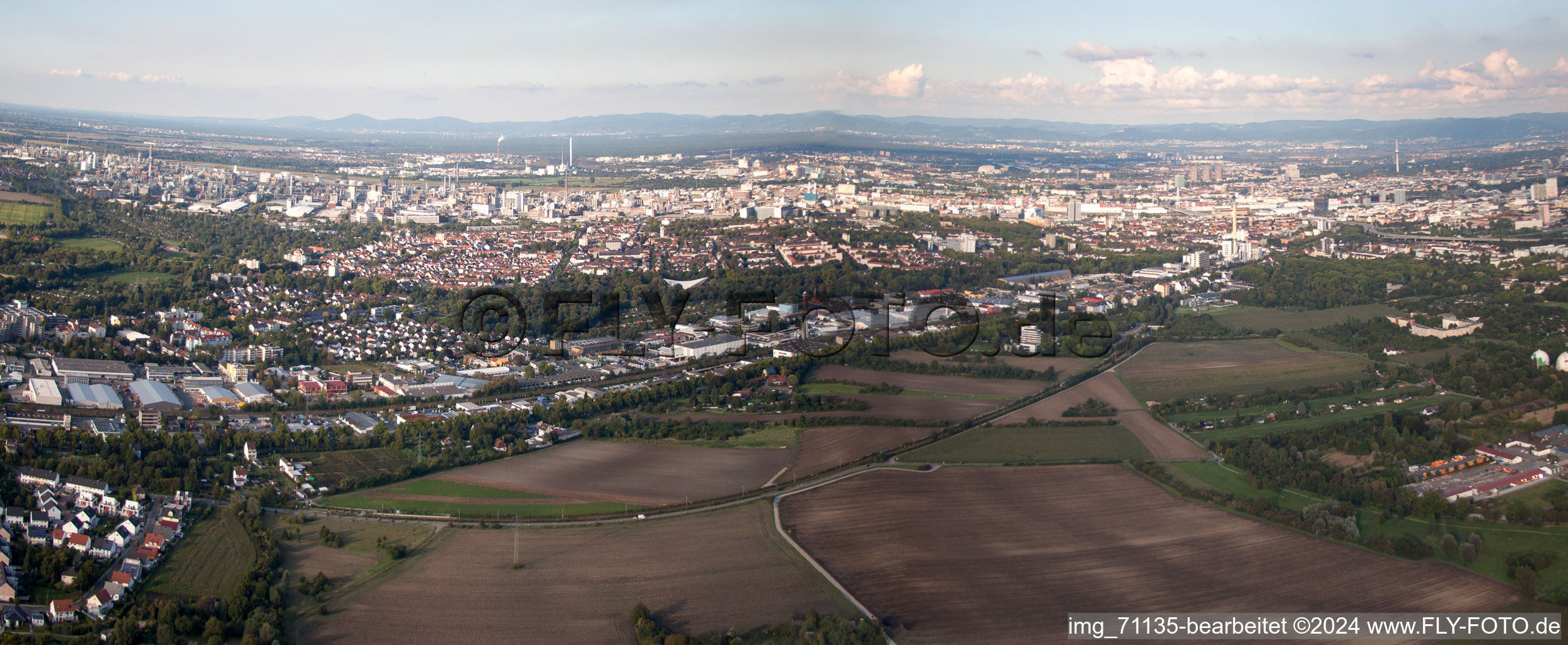 Quartier Friesenheim in Ludwigshafen am Rhein dans le département Rhénanie-Palatinat, Allemagne vue du ciel