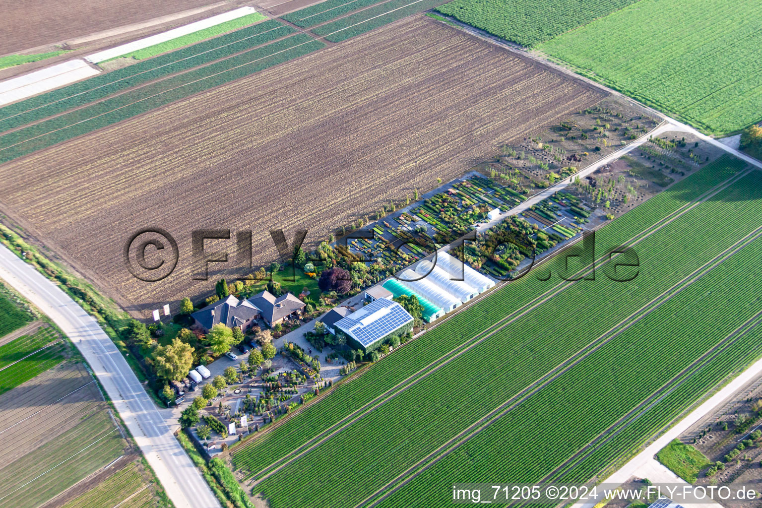 Vue aérienne de Pépinière Kruger à Mutterstadt dans le département Rhénanie-Palatinat, Allemagne