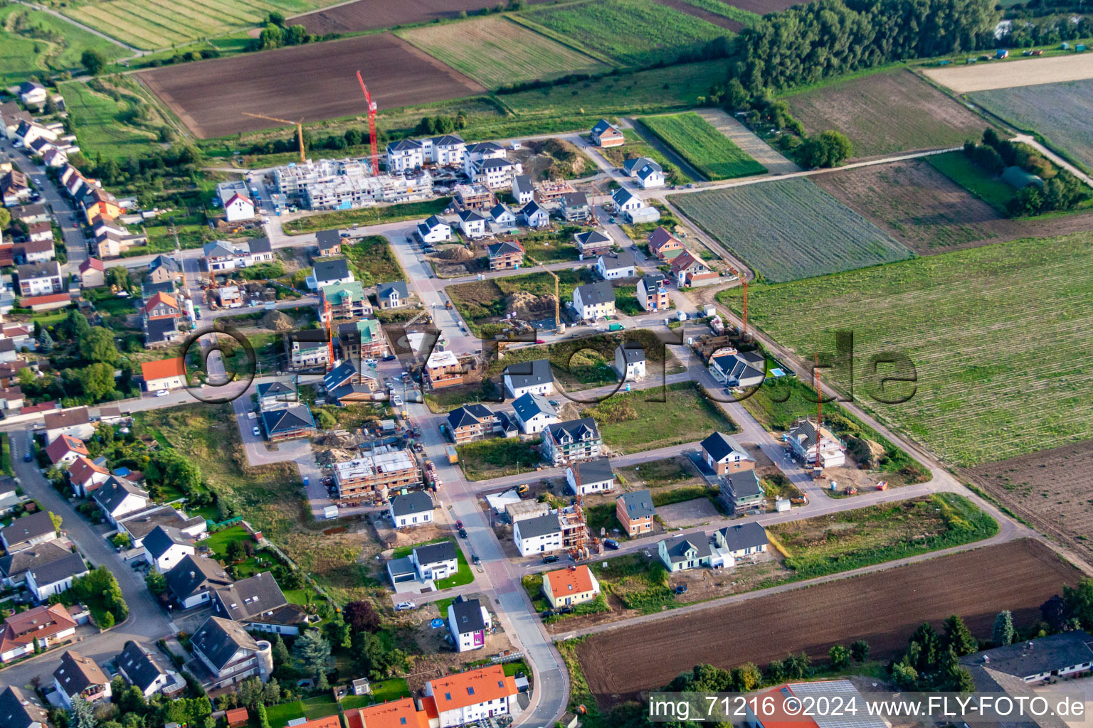 Vue aérienne de Nouvelle zone de développement Betheny-Allee à le quartier Schauernheim in Dannstadt-Schauernheim dans le département Rhénanie-Palatinat, Allemagne