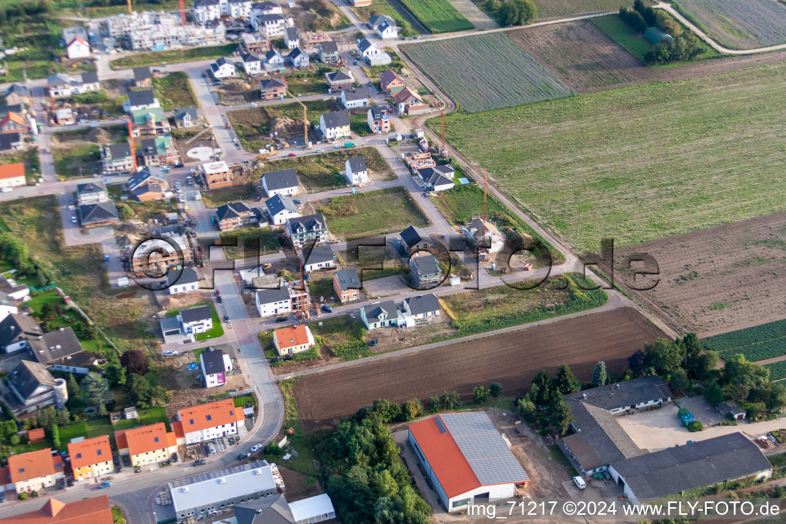 Vue aérienne de Nouvelle zone de développement Betheny-Allee à le quartier Schauernheim in Dannstadt-Schauernheim dans le département Rhénanie-Palatinat, Allemagne