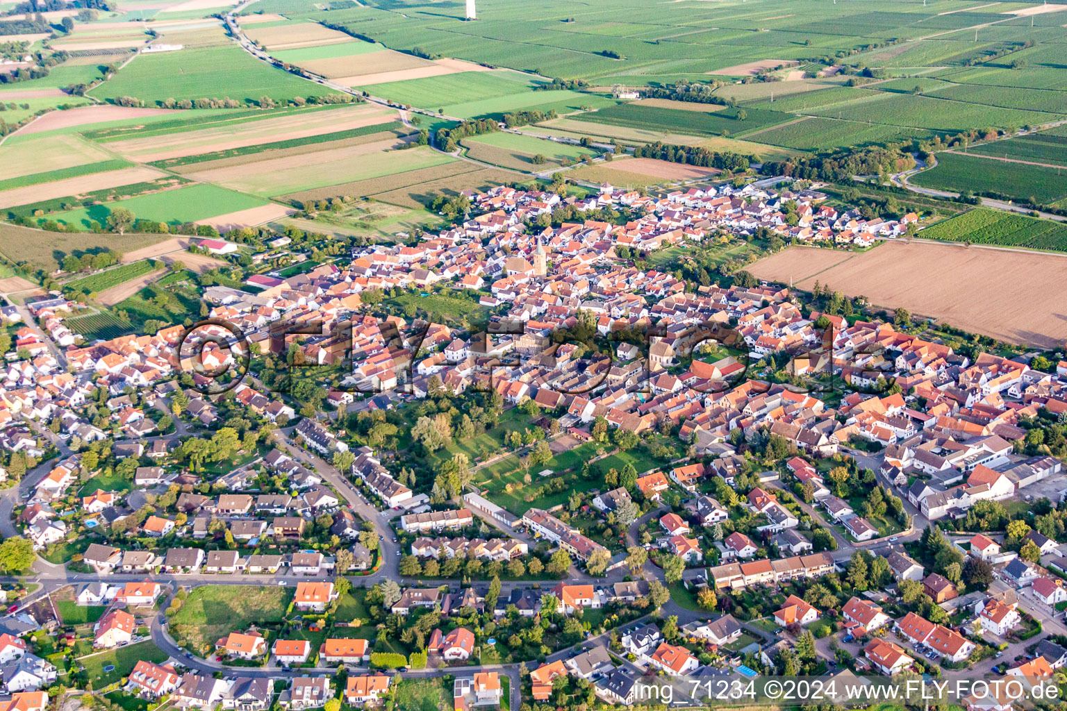 Vue aérienne de Quartier Lachen in Neustadt an der Weinstraße dans le département Rhénanie-Palatinat, Allemagne