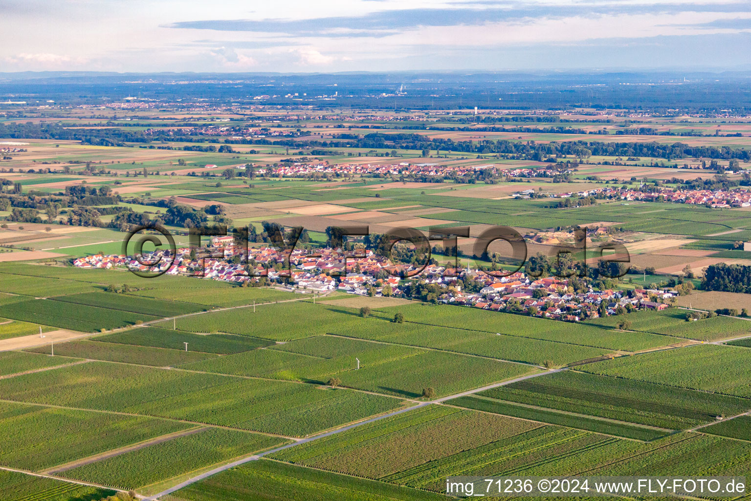 Quartier Duttweiler in Neustadt an der Weinstraße dans le département Rhénanie-Palatinat, Allemagne depuis l'avion