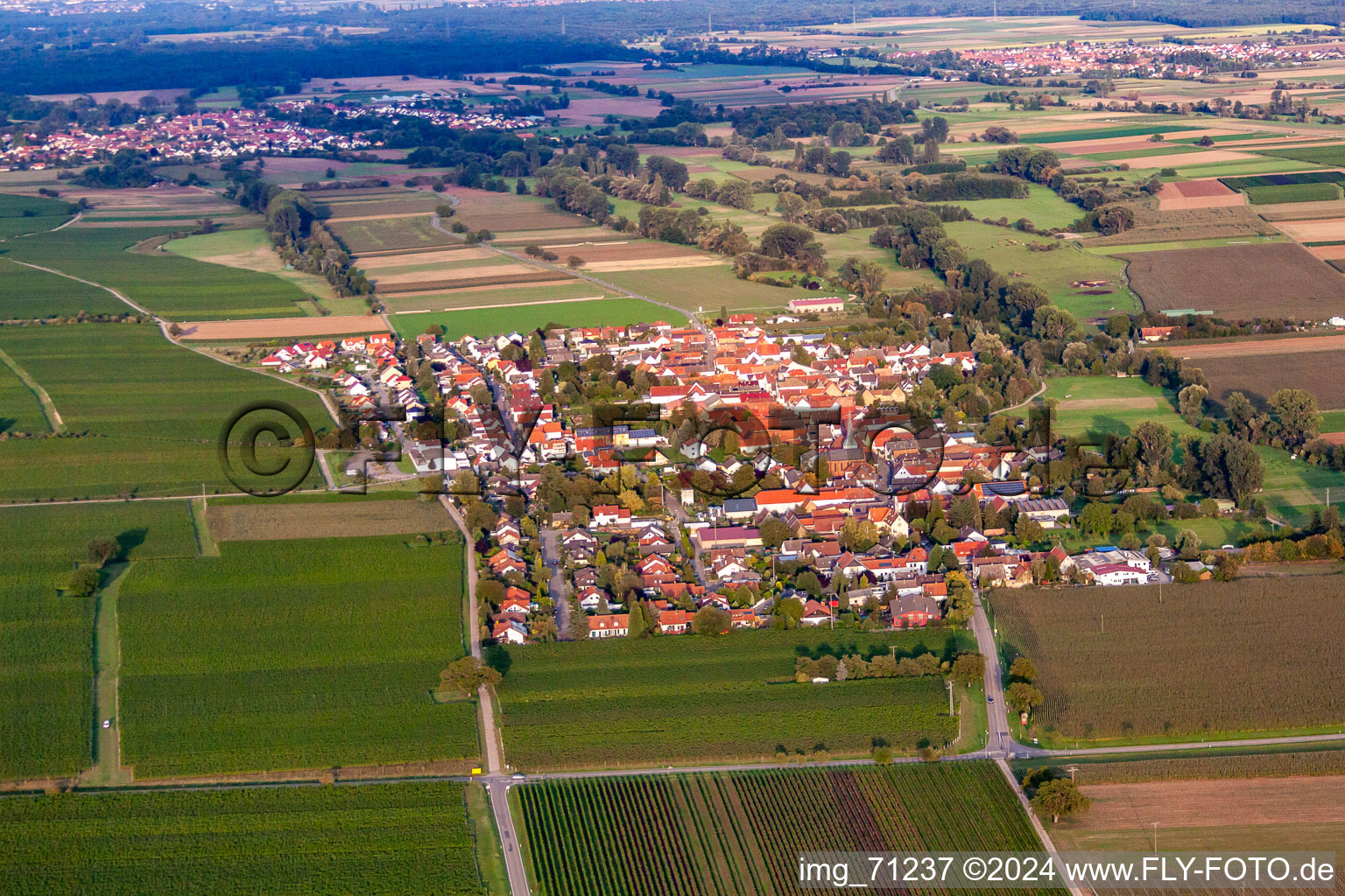 Vue d'oiseau de Quartier Duttweiler in Neustadt an der Weinstraße dans le département Rhénanie-Palatinat, Allemagne