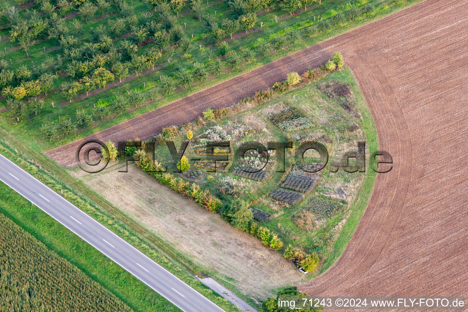 Vue aérienne de Ouvrages sur champs agricoles avec banc d'essai en bordure de champ dans le quartier d'Eckel à Kleinfischlingen dans le département Rhénanie-Palatinat, Allemagne