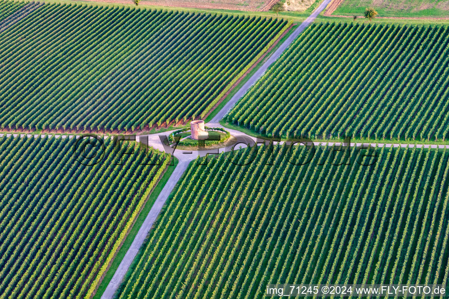 Vue aérienne de Tour vigneronne de Houschder à Hochstadt dans le département Rhénanie-Palatinat, Allemagne