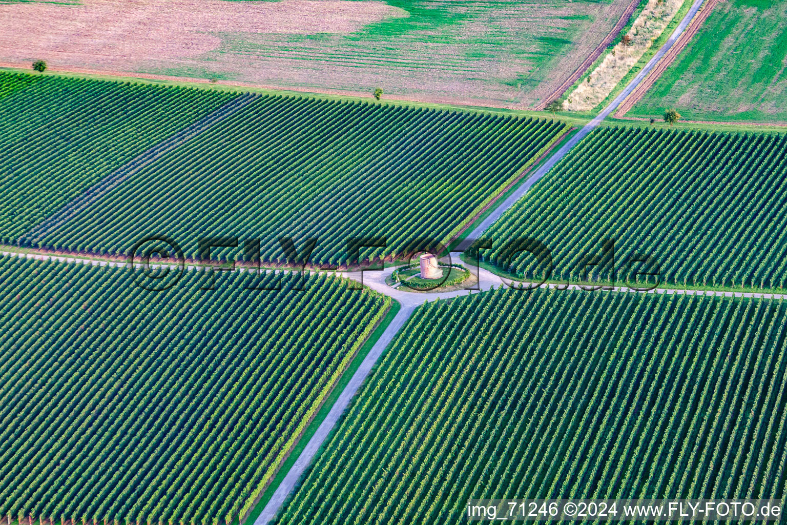 Photographie aérienne de Tour vigneronne de Houschder à le quartier Niederhochstadt in Hochstadt dans le département Rhénanie-Palatinat, Allemagne