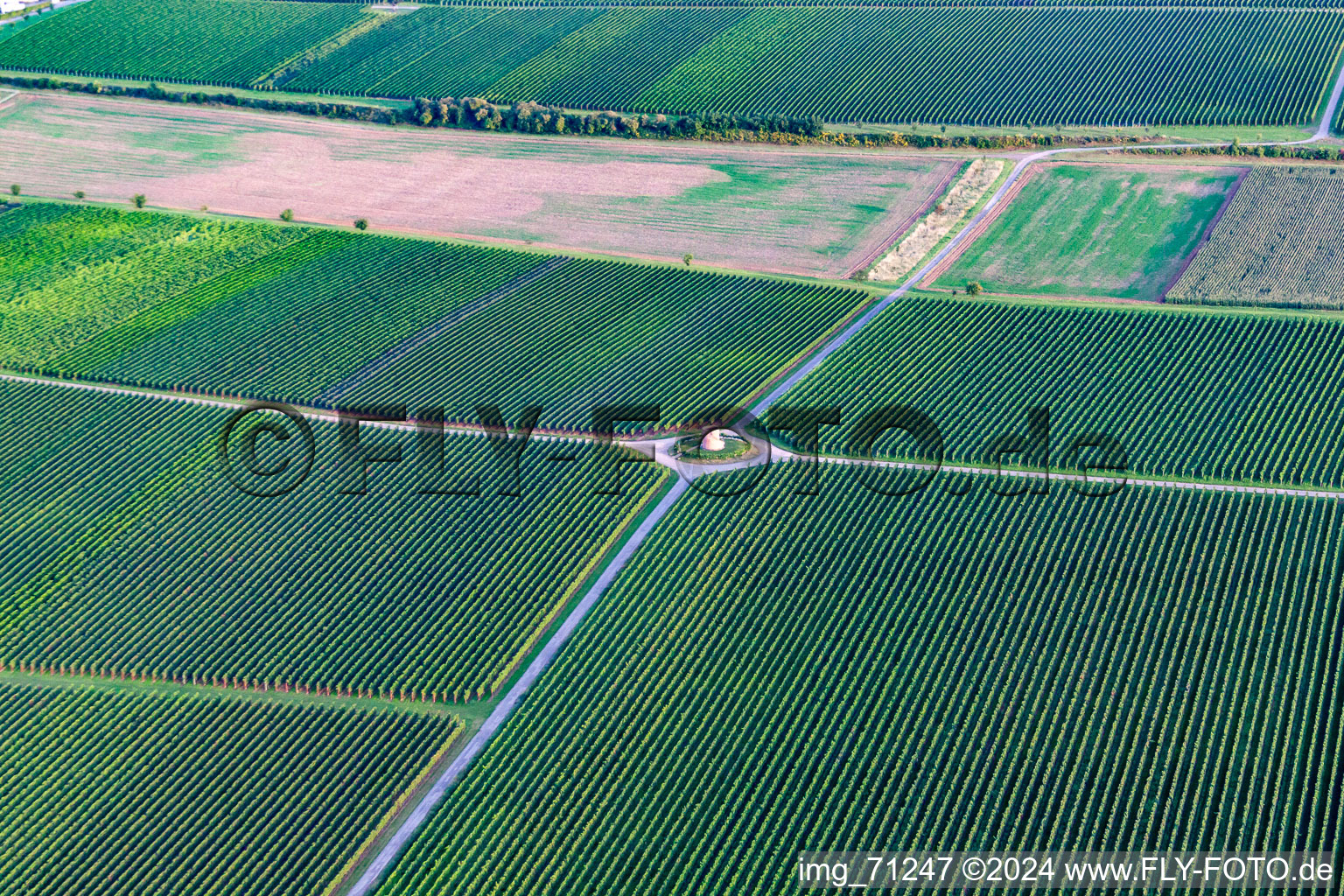 Photographie aérienne de Tour vigneronne de Houschder à Hochstadt dans le département Rhénanie-Palatinat, Allemagne