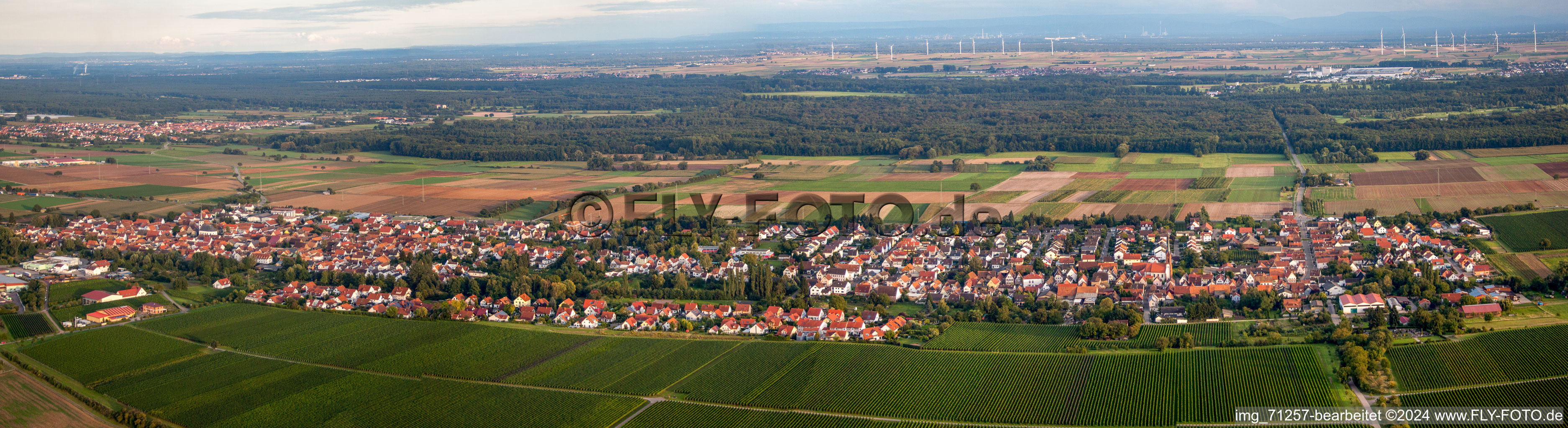 Vue aérienne de Perspective panoramique (Palatinat) à le quartier Niederhochstadt in Hochstadt dans le département Rhénanie-Palatinat, Allemagne